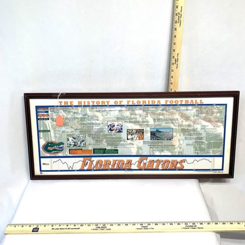 Gator History Framed Poster